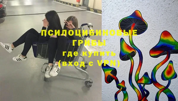 индика Богородицк